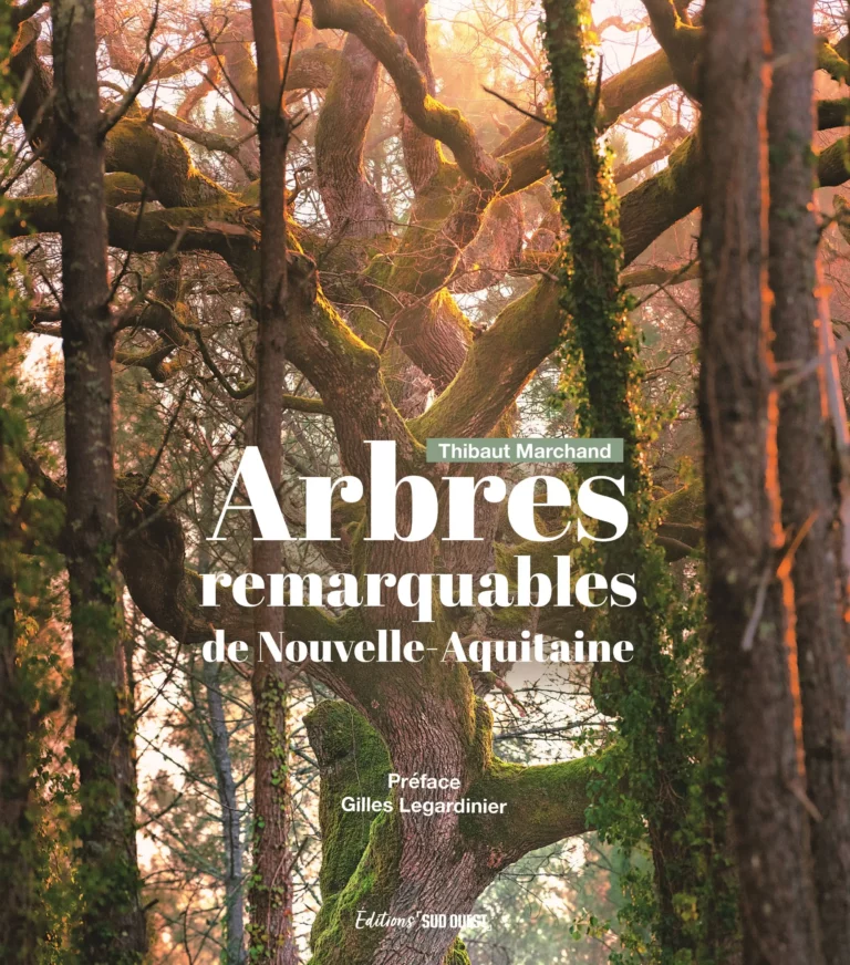 Thibault Marchand - ARBRES REMARQUABLES