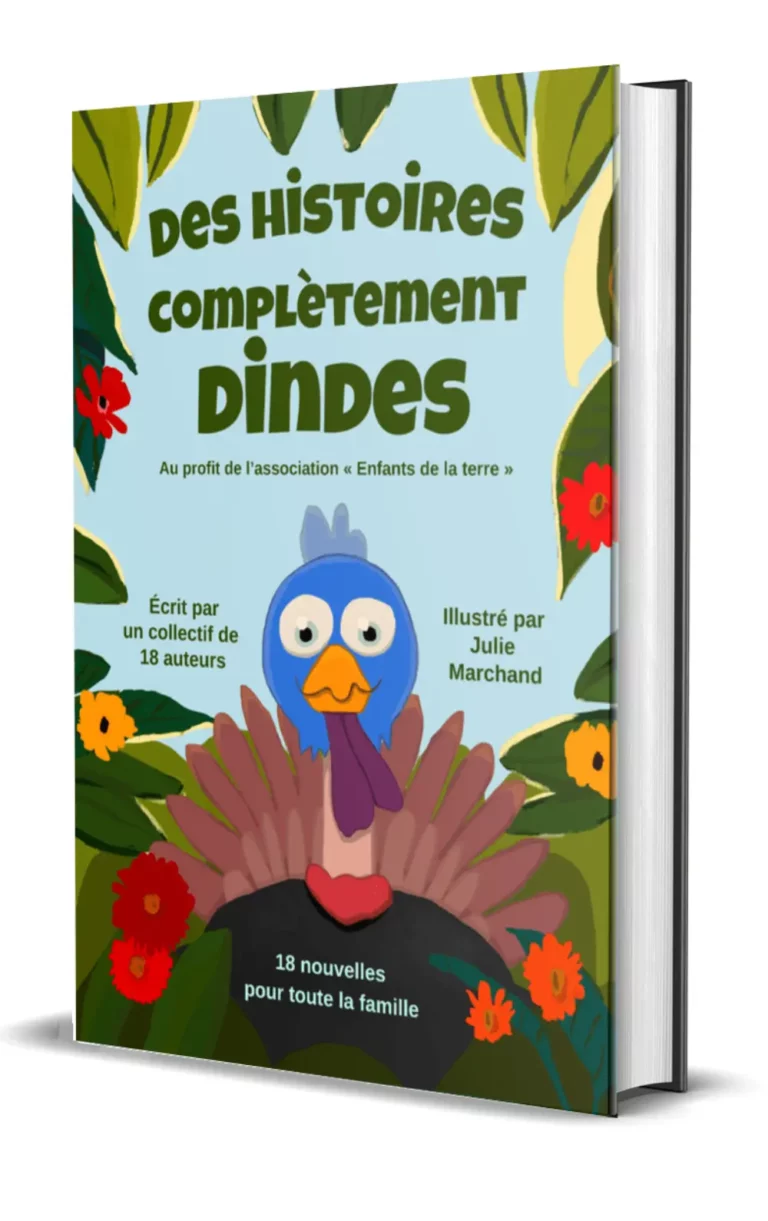 Des histoires complètement Dindes - Sonia Kermen