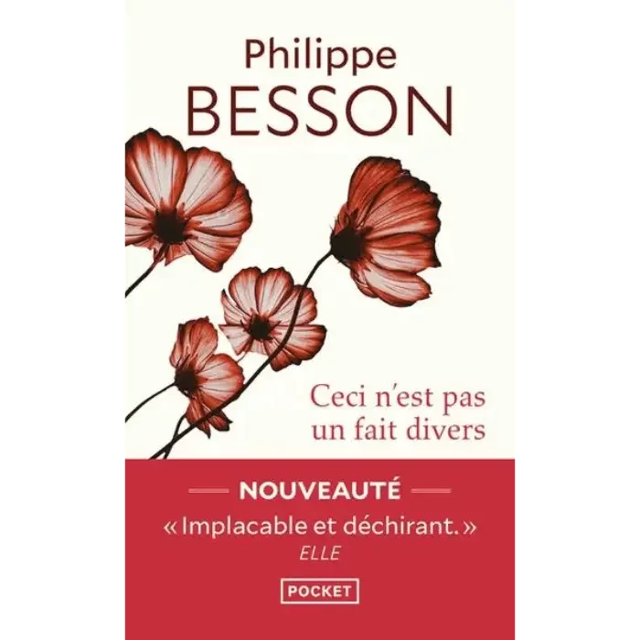 Ceci n'est pas un fait divers - Philippe BESSON